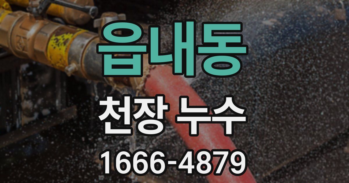 읍내동 천장 누수