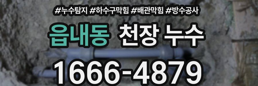 읍내동 천장 누수