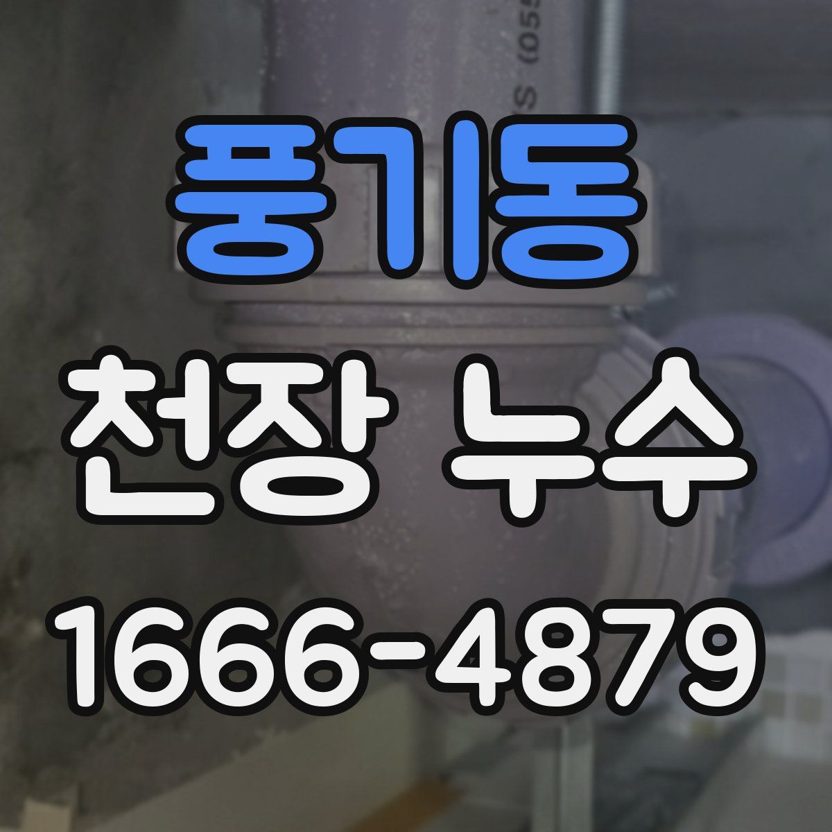 풍기동 천장 누수