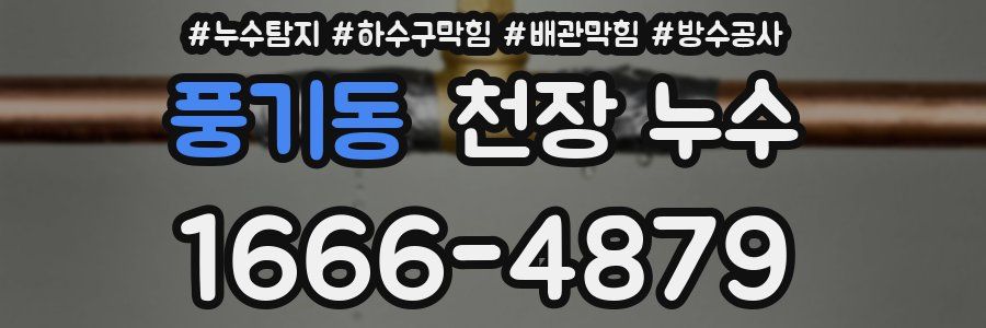 풍기동 천장 누수