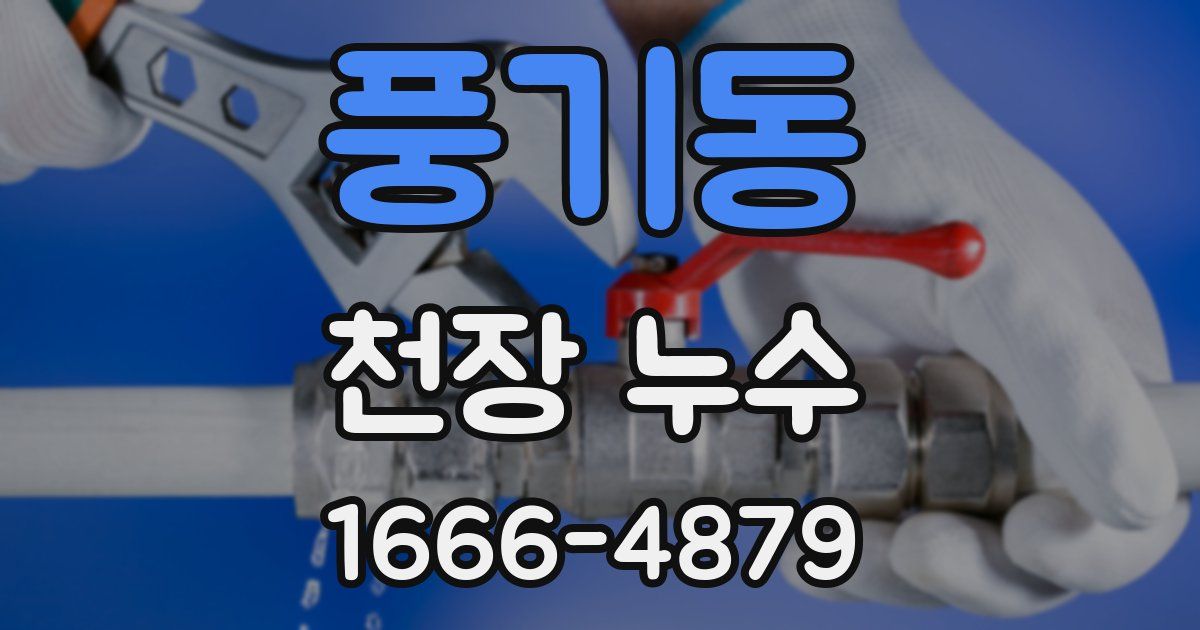 풍기동 천장 누수