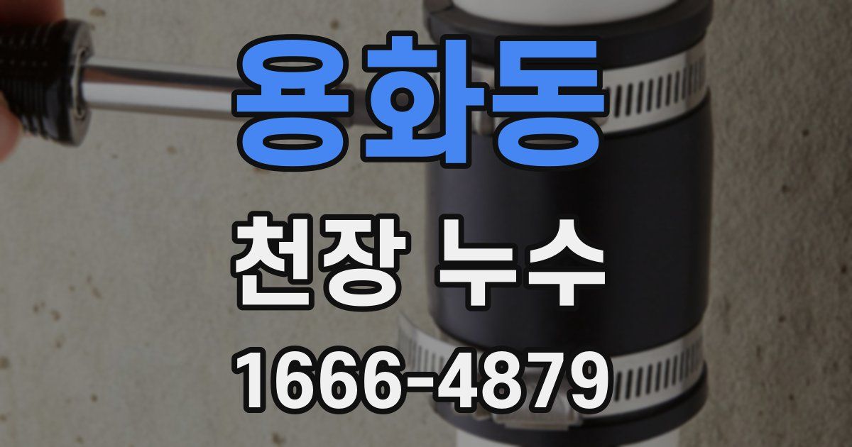 용화동 천장 누수