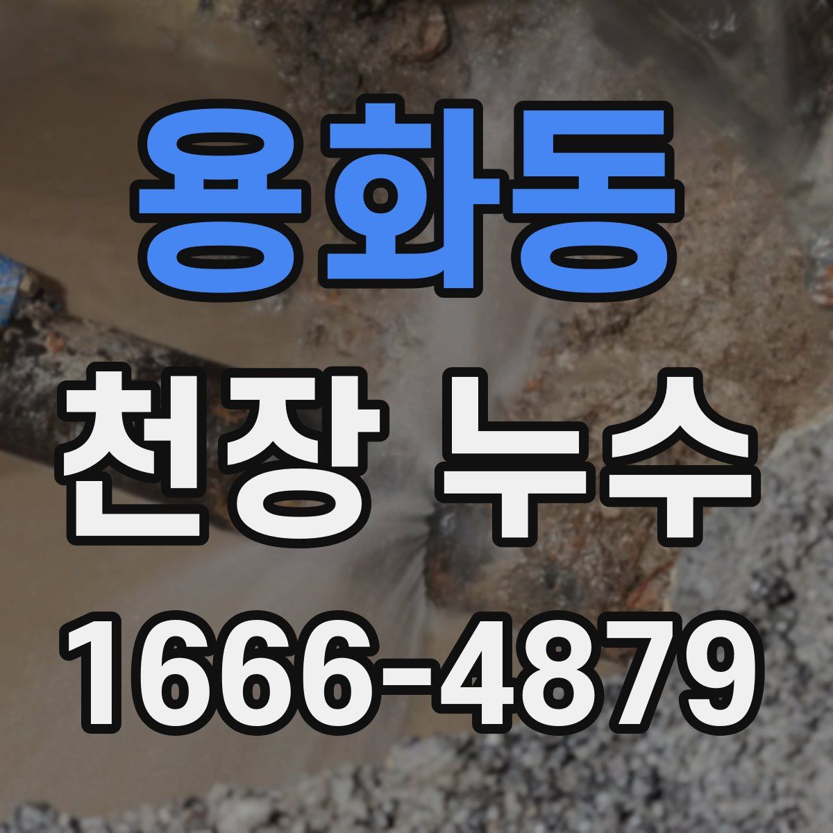 용화동 천장 누수