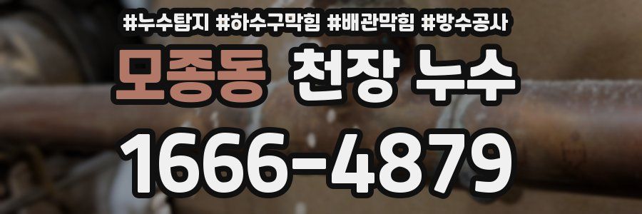 모종동 천장 누수