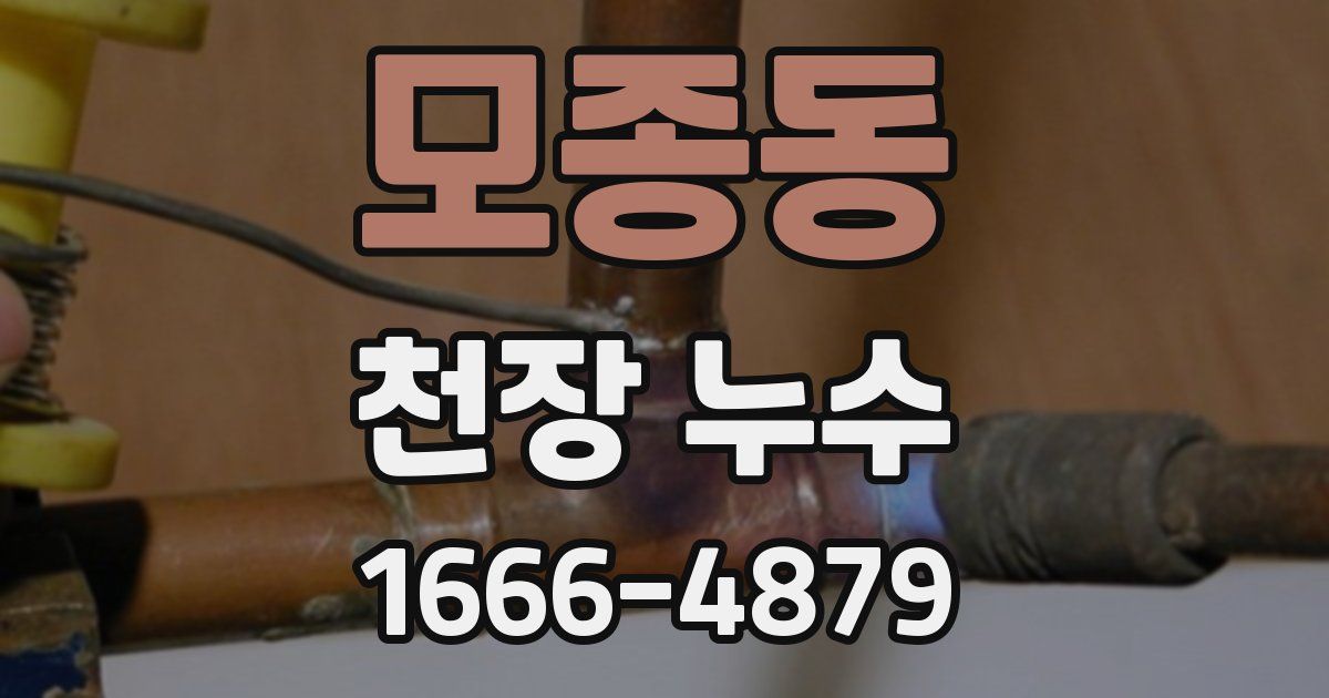 모종동 천장 누수