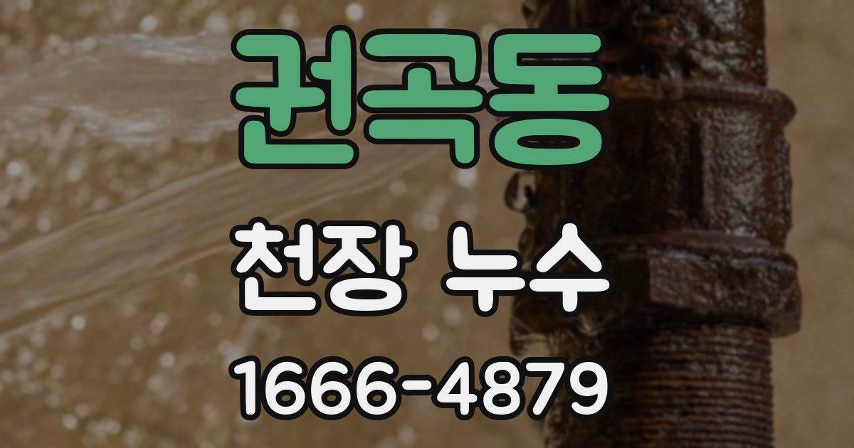 권곡동 천장 누수