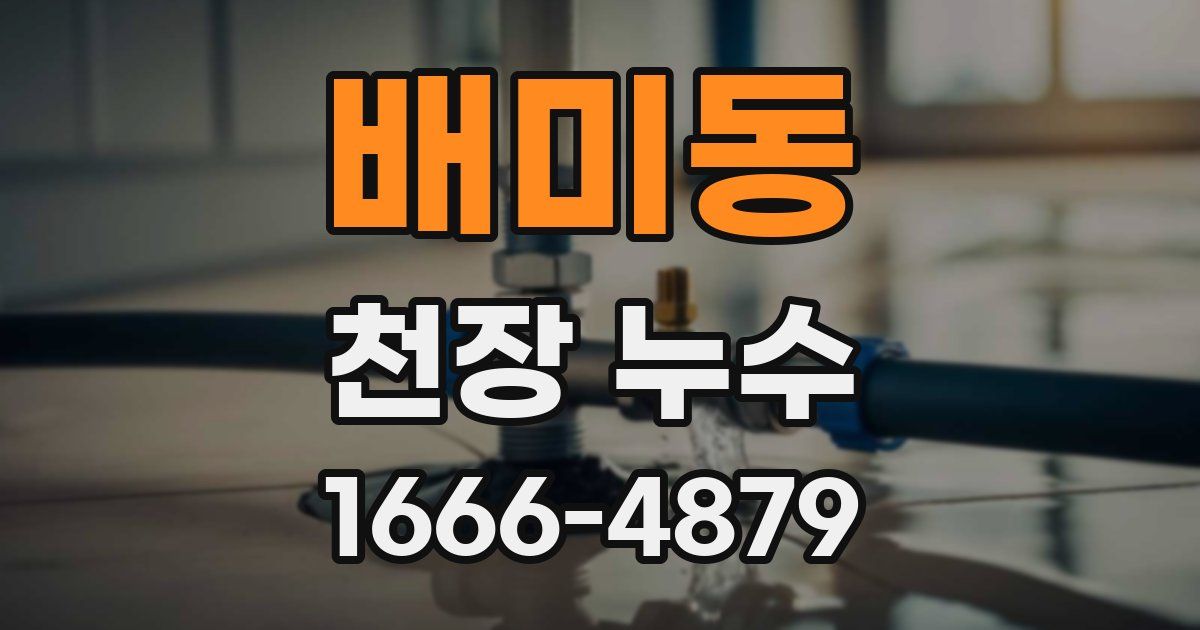 배미동 천장 누수