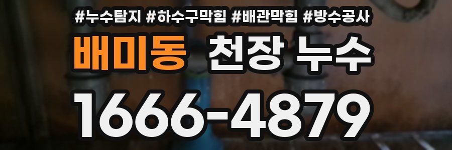 배미동 천장 누수