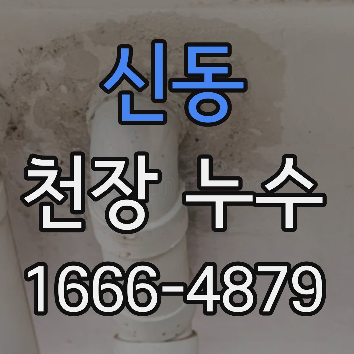 신동 천장 누수