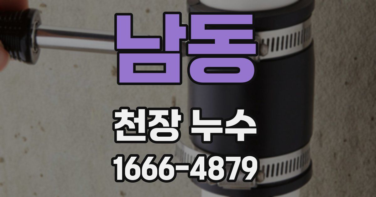 남동 천장 누수