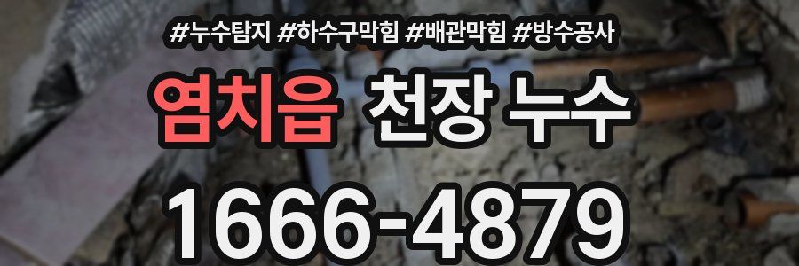 염치읍 천장 누수