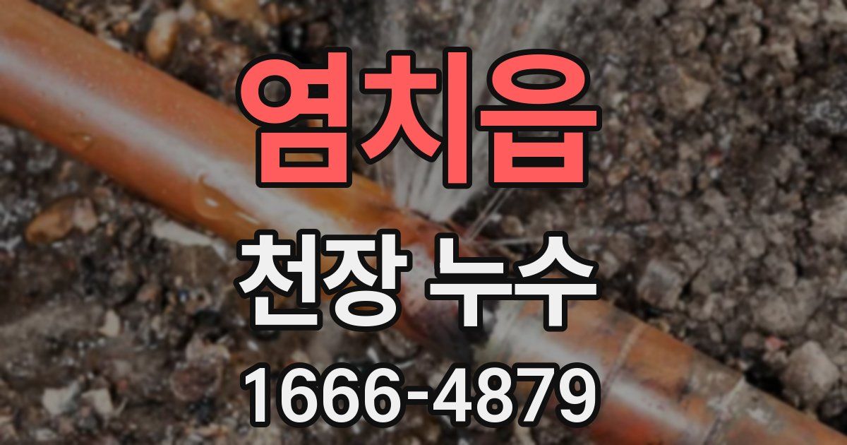 염치읍 천장 누수