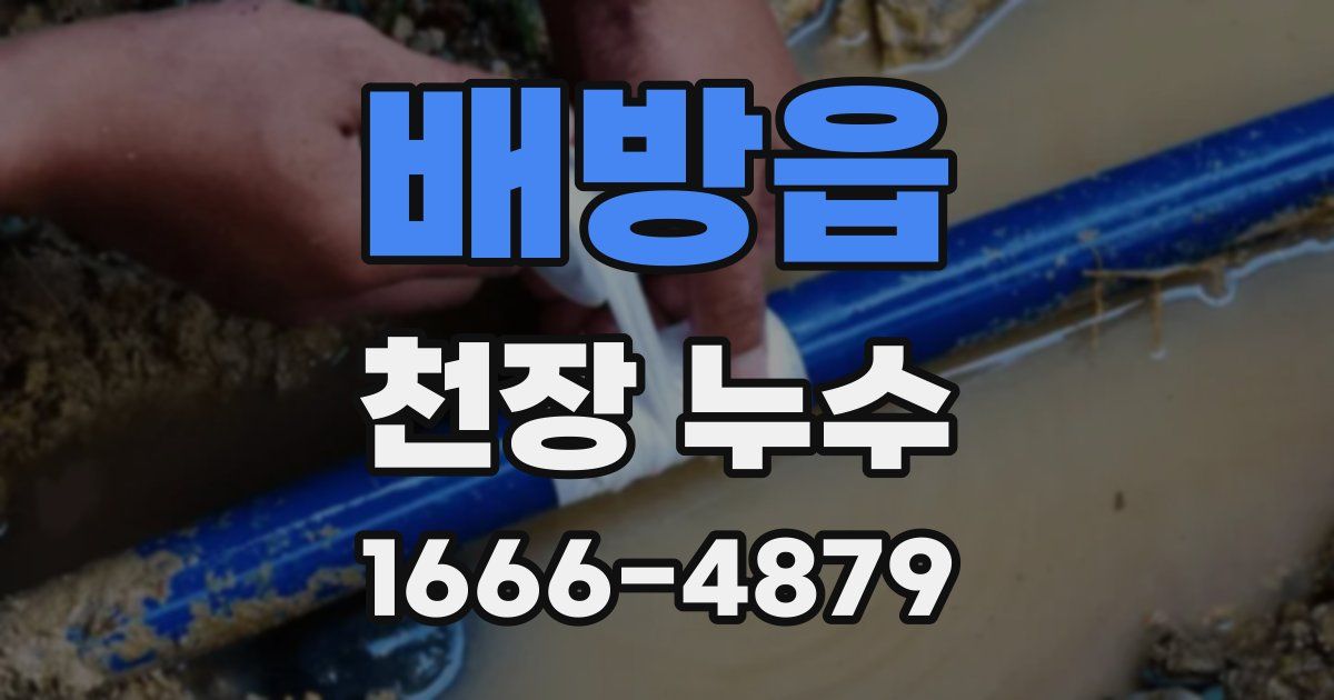 배방읍 천장 누수