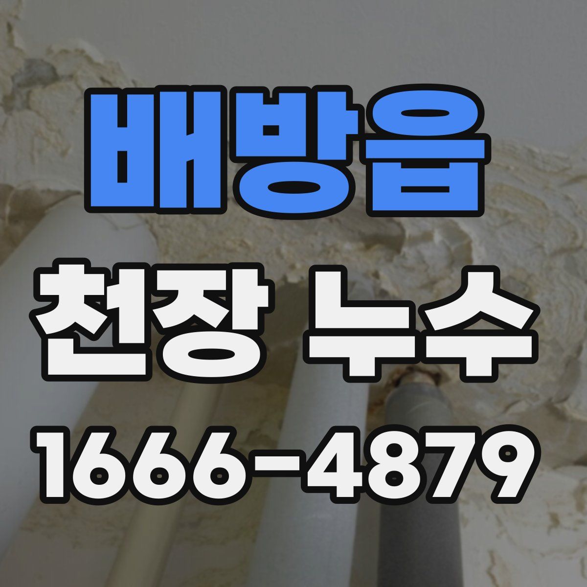 배방읍 천장 누수