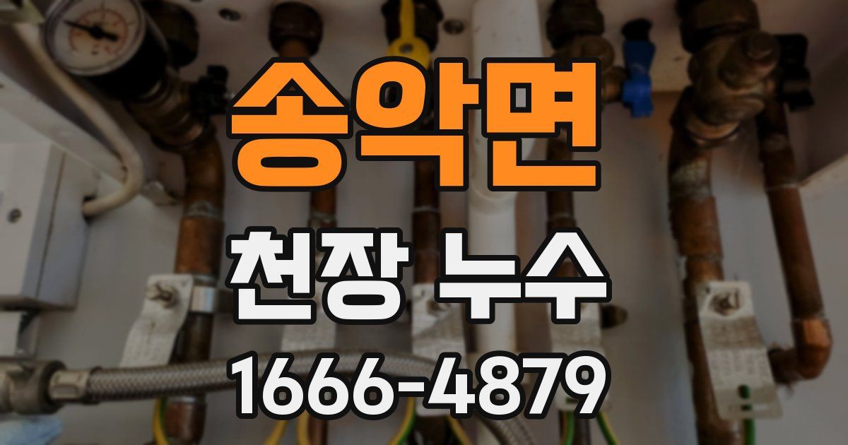 송악면 천장 누수