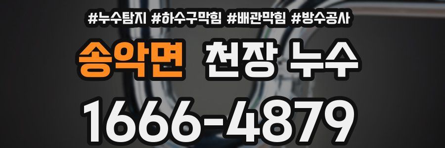 송악면 천장 누수