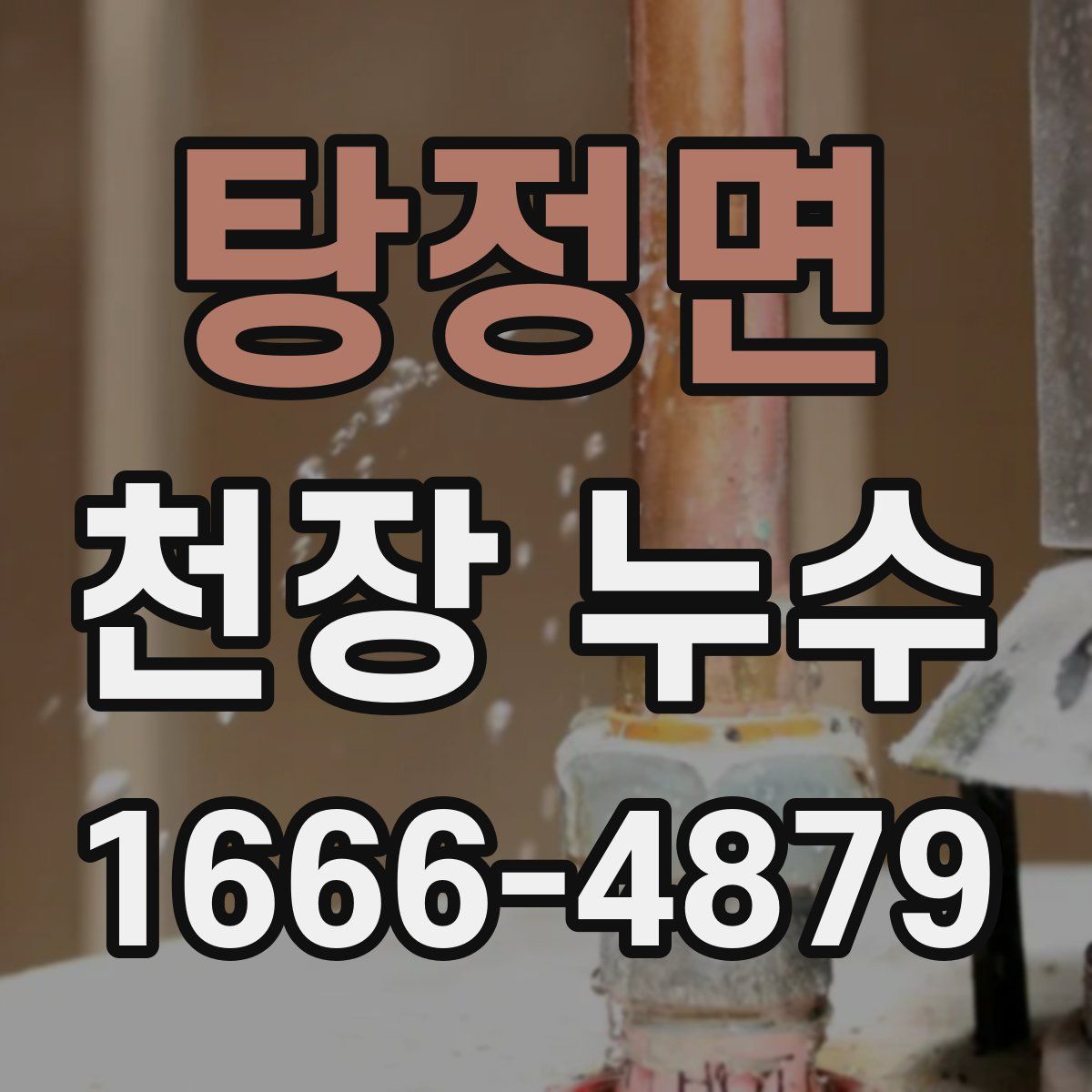 탕정면 천장 누수
