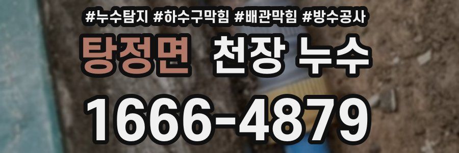 탕정면 천장 누수