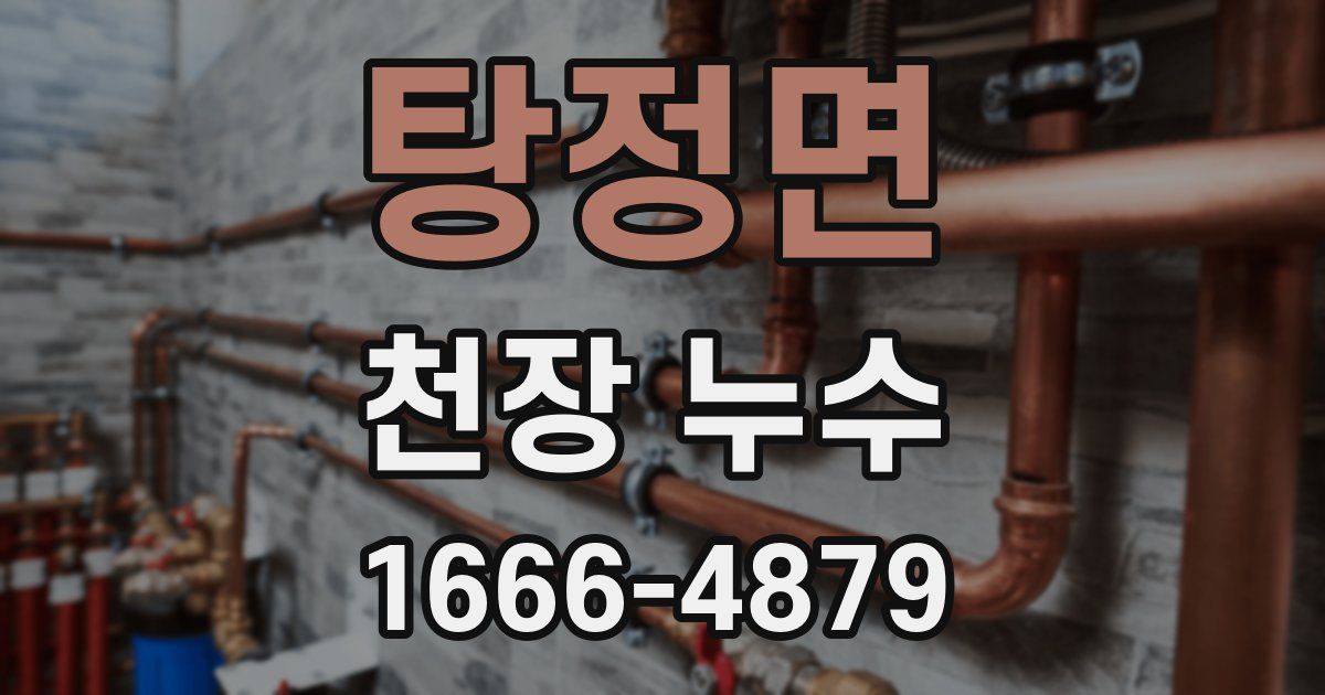 탕정면 천장 누수