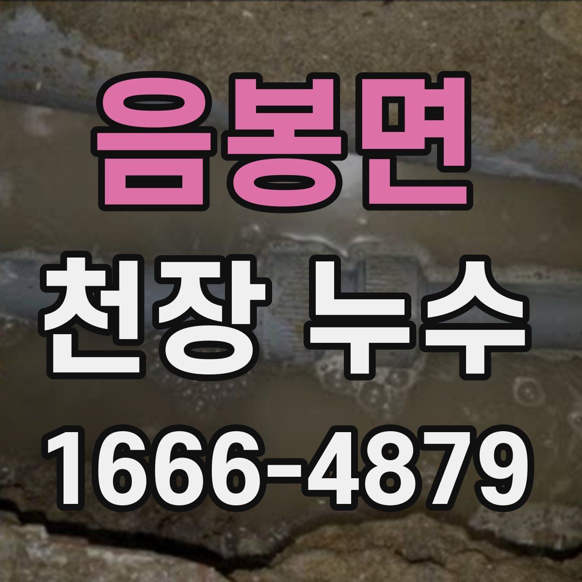 음봉면 천장 누수