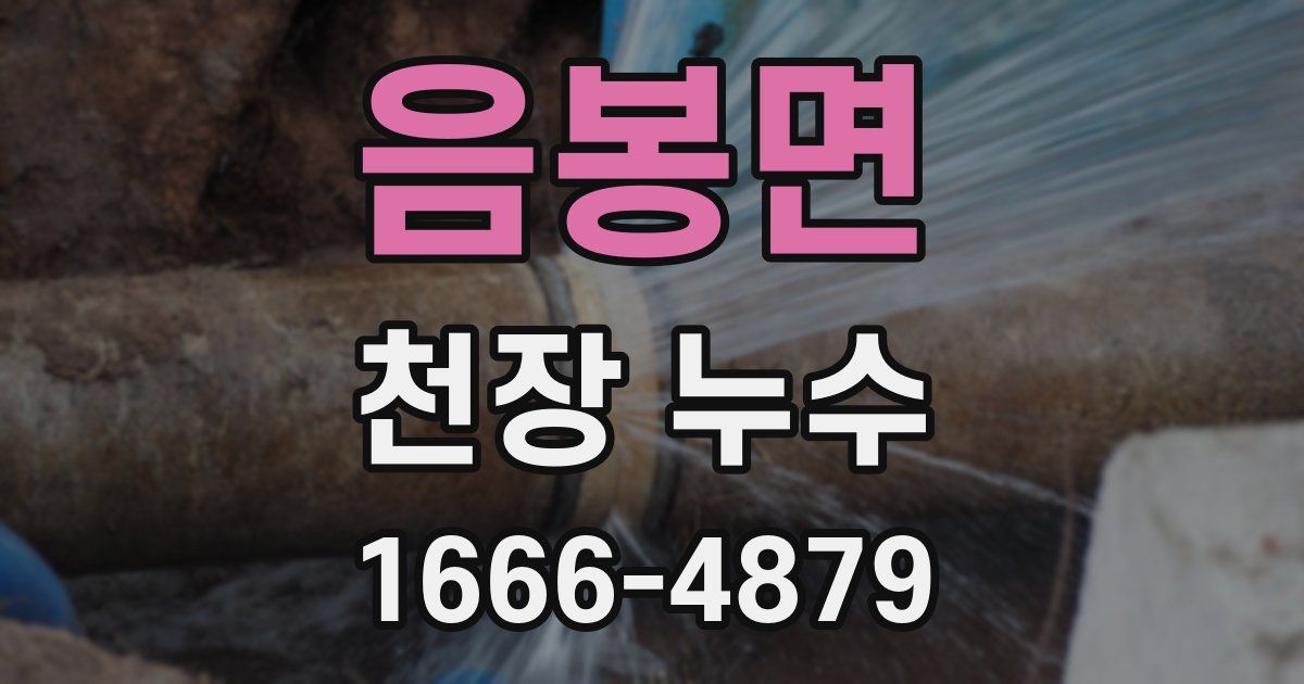 음봉면 천장 누수