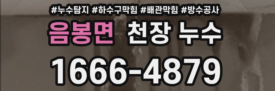 음봉면 천장 누수