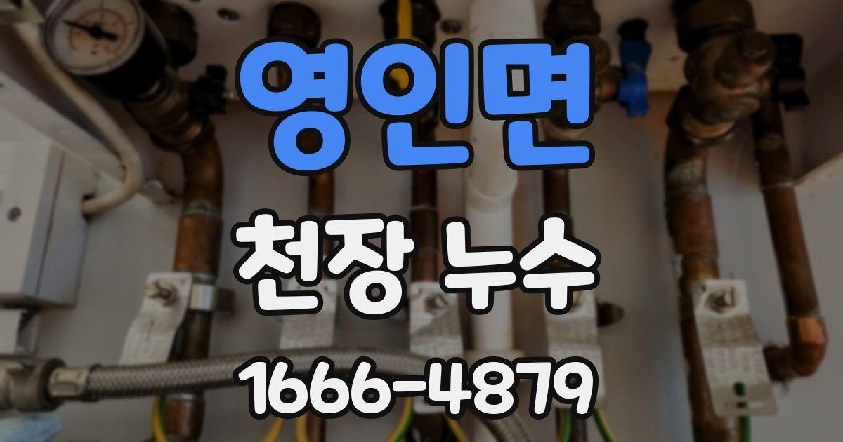 영인면 천장 누수