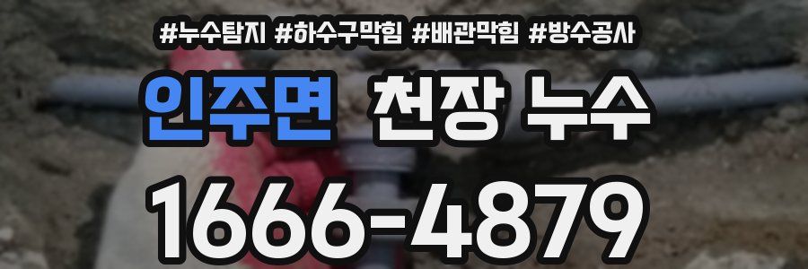 인주면 천장 누수