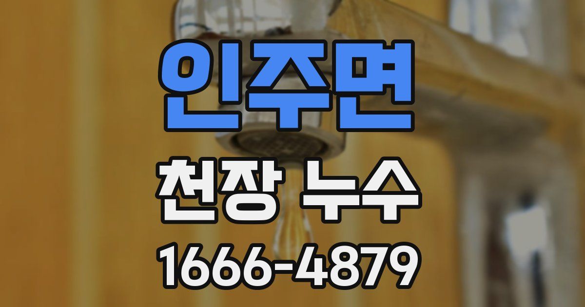 인주면 천장 누수