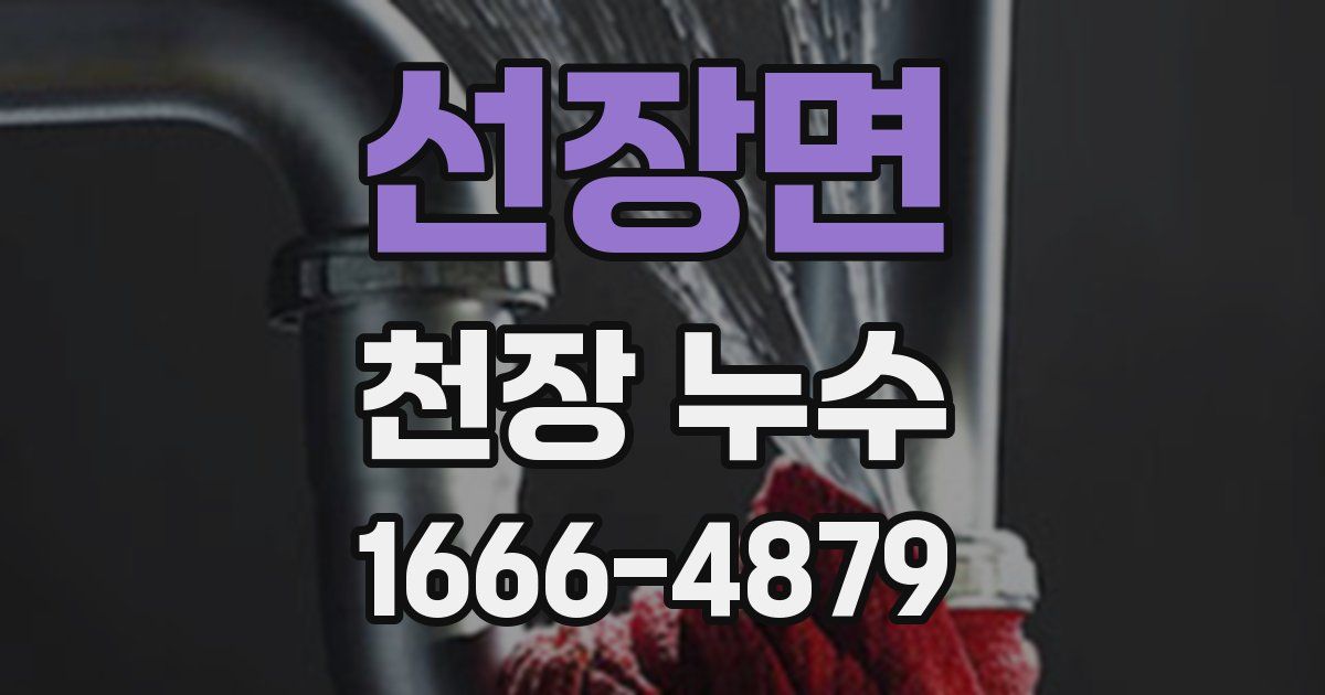 선장면 천장 누수