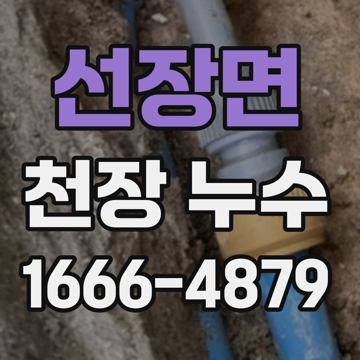 선장면 천장 누수