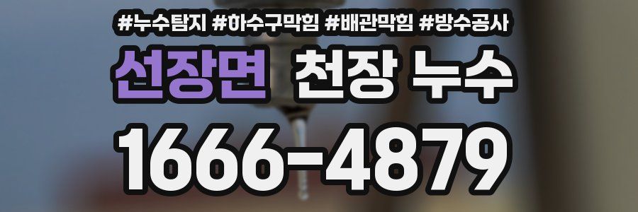 선장면 천장 누수