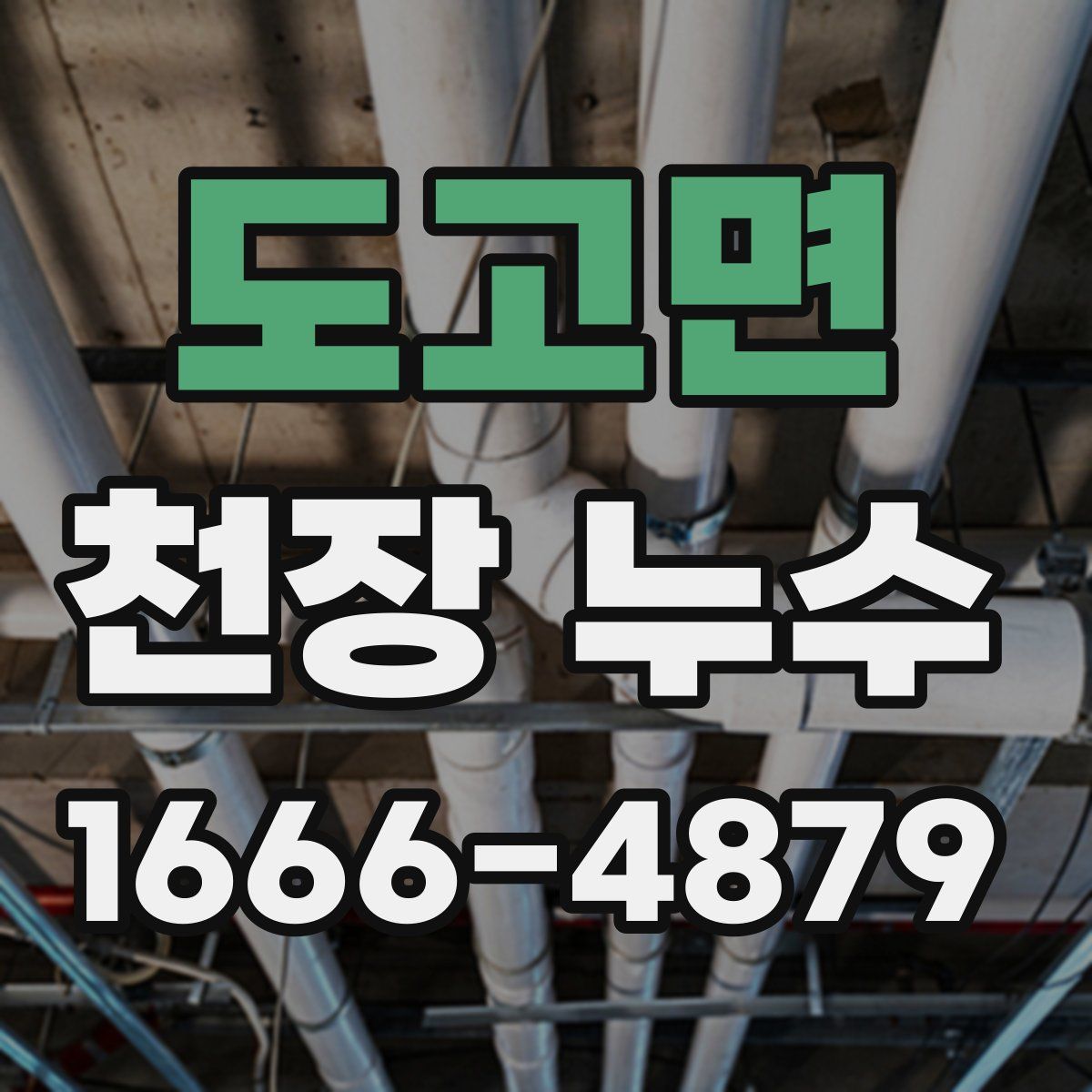 도고면 천장 누수