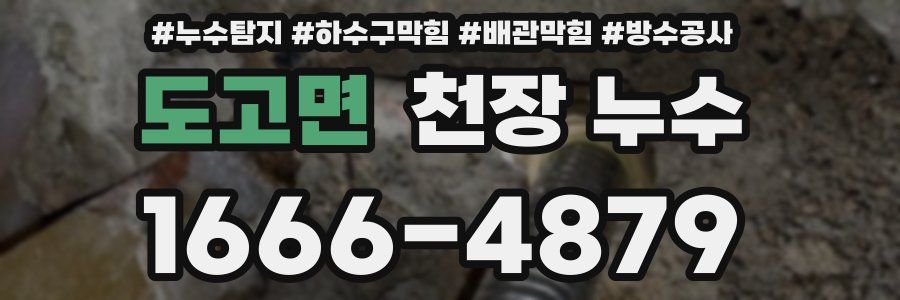 도고면 천장 누수