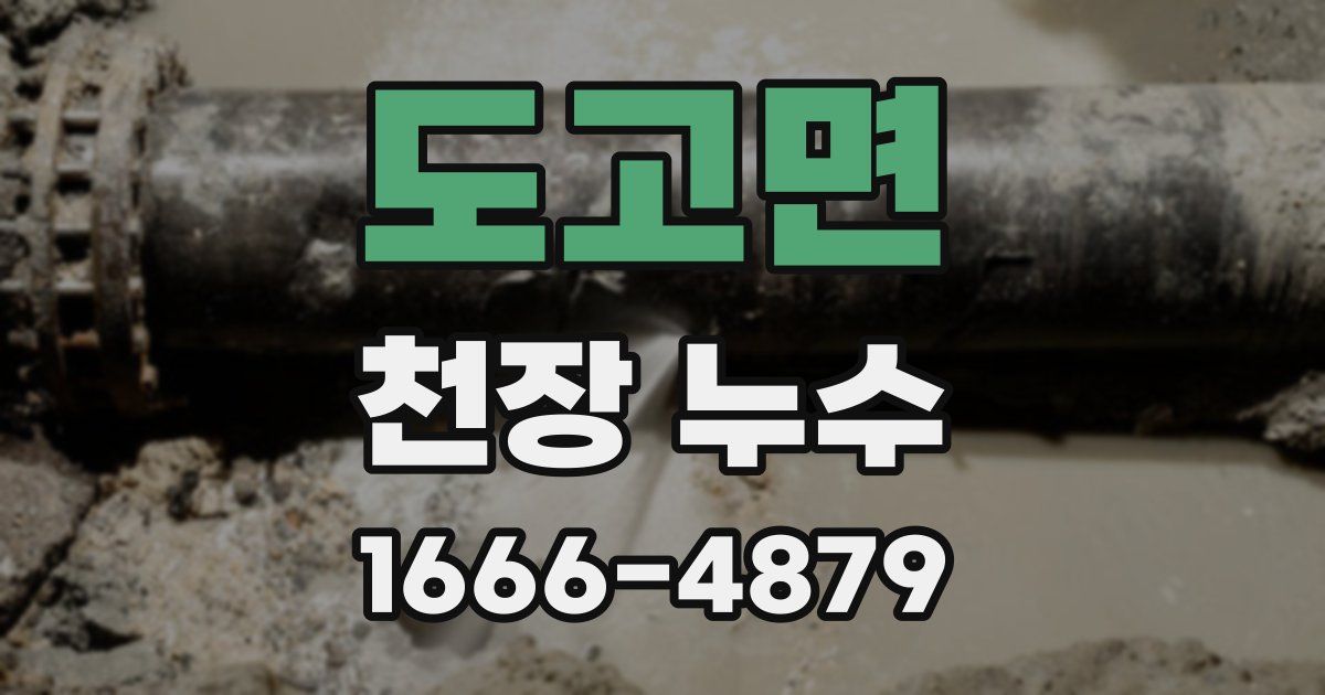 도고면 천장 누수