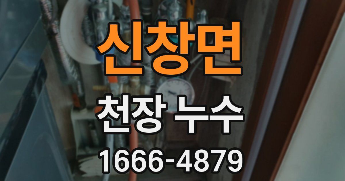 신창면 천장 누수