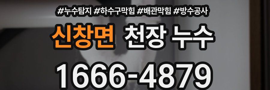 신창면 천장 누수