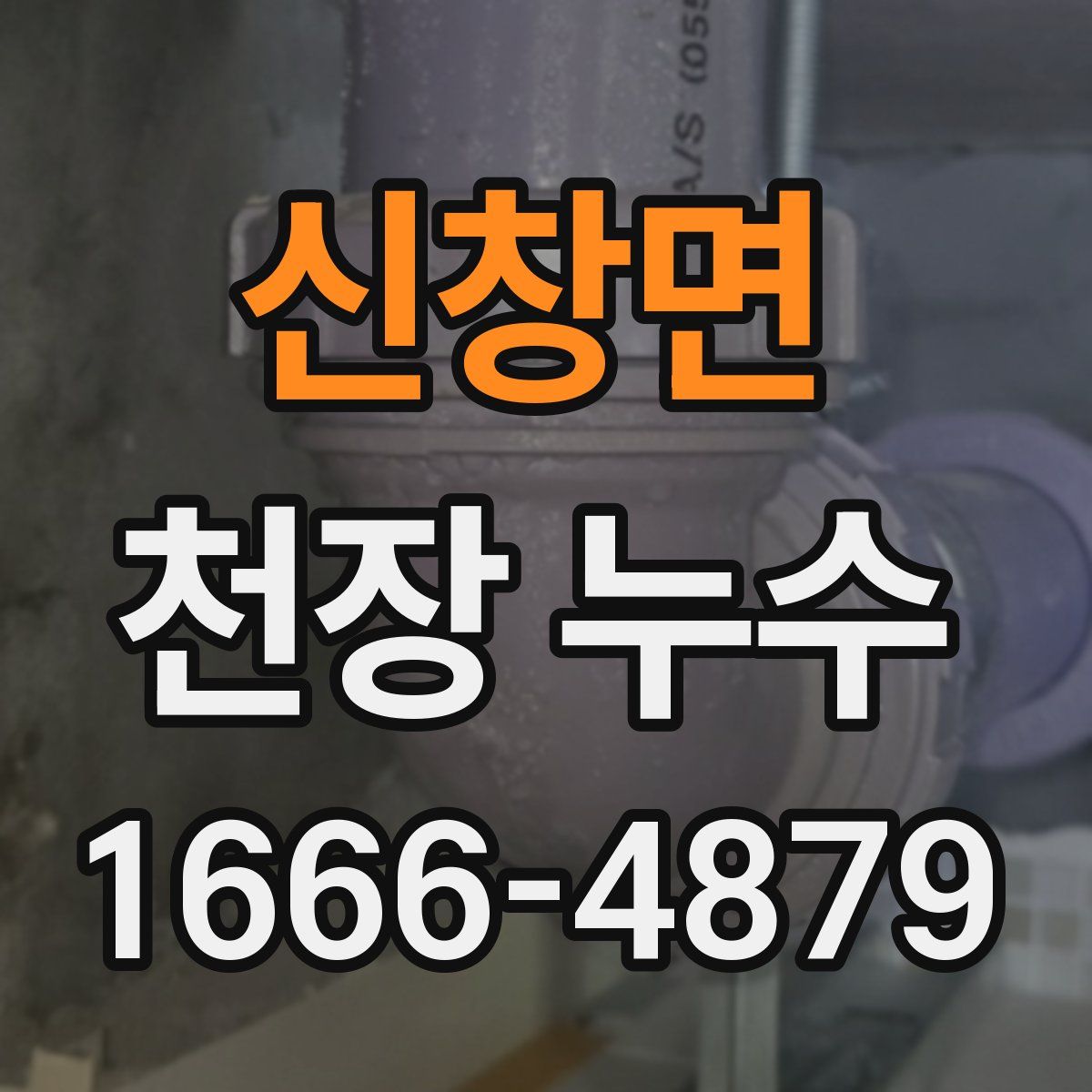 신창면 천장 누수
