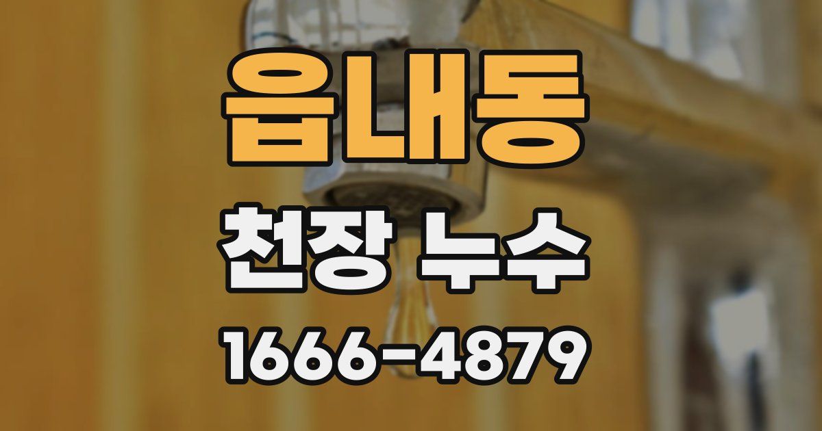 읍내동 천장 누수