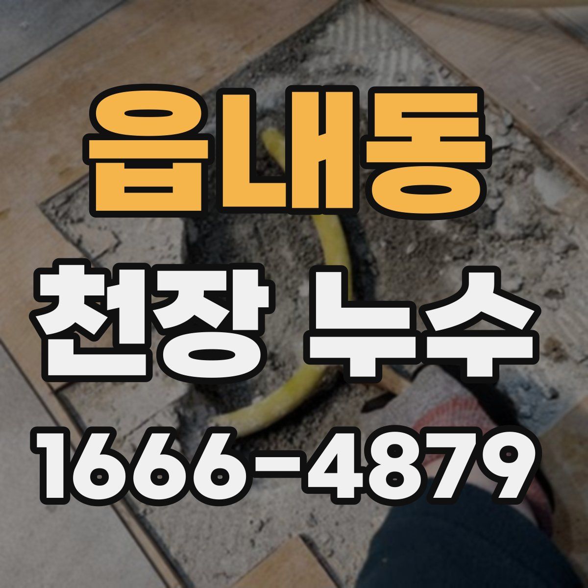 읍내동 천장 누수