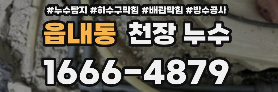 읍내동 천장 누수