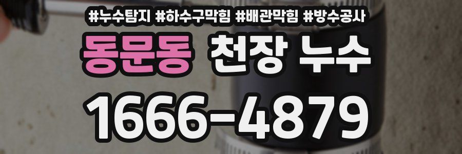 동문동 천장 누수