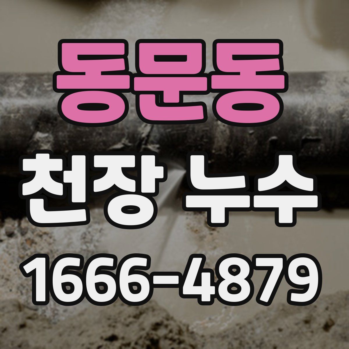 동문동 천장 누수