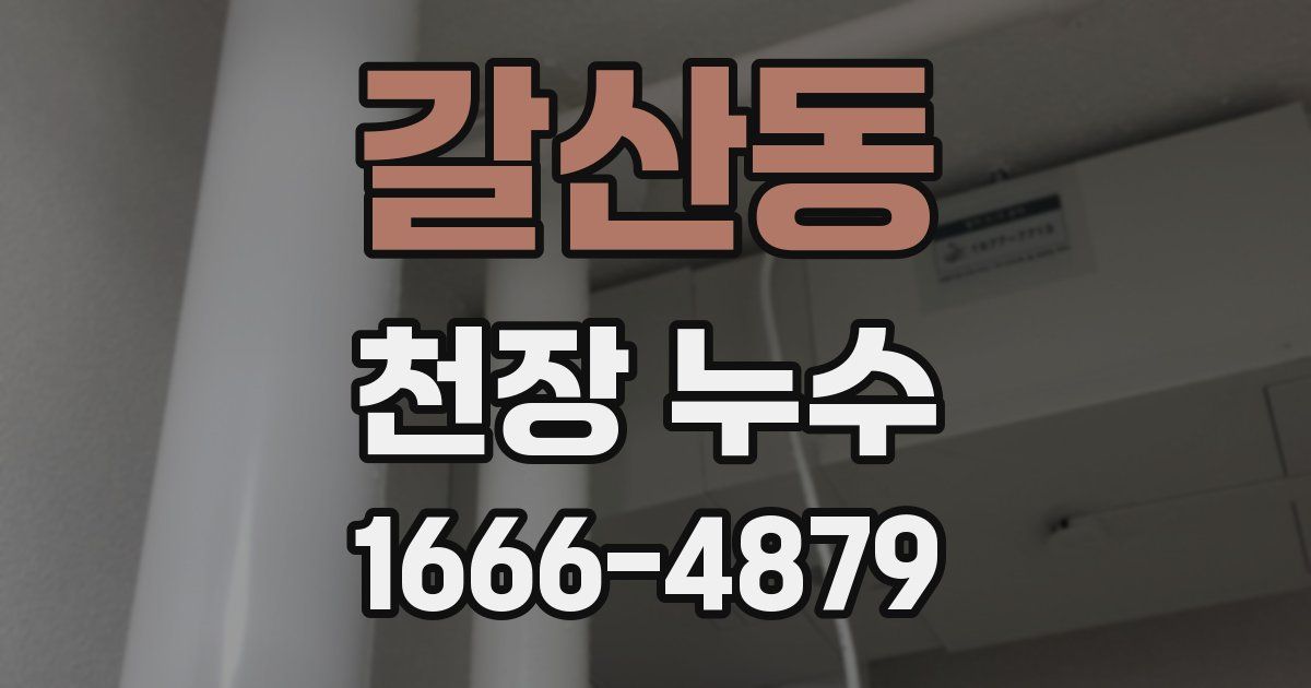 갈산동 천장 누수