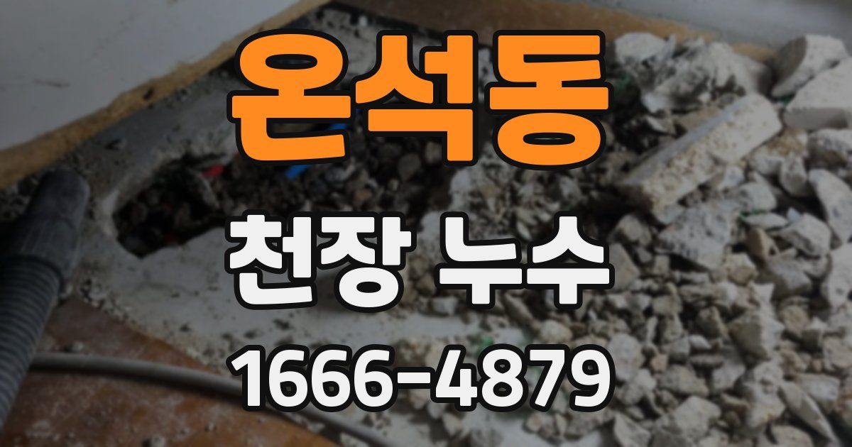 온석동 천장 누수