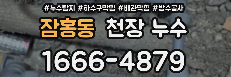 잠홍동 천장 누수