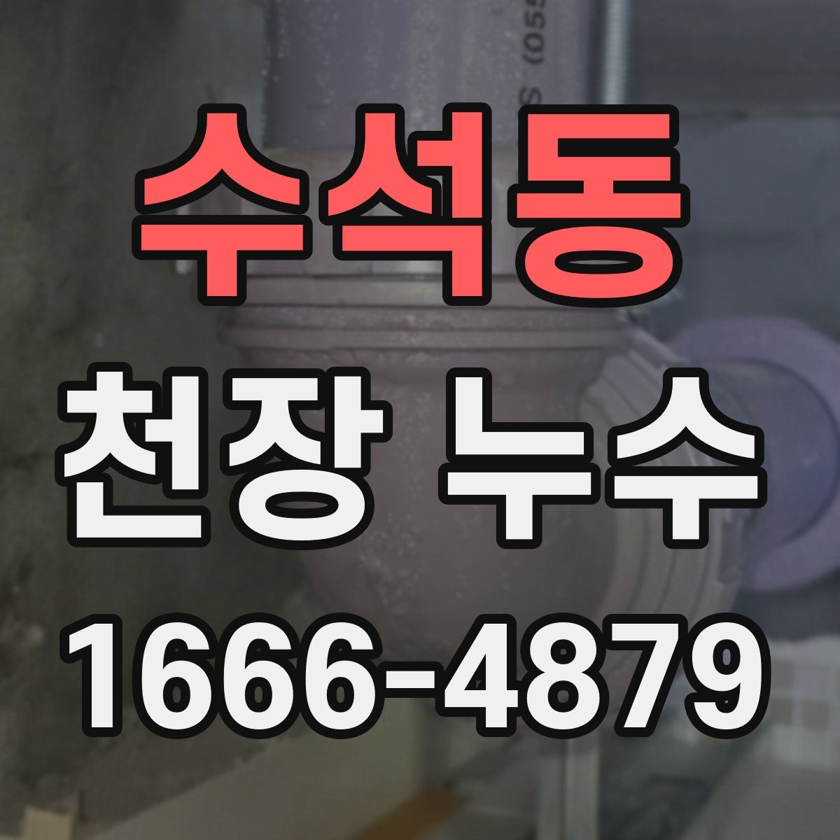 수석동 천장 누수