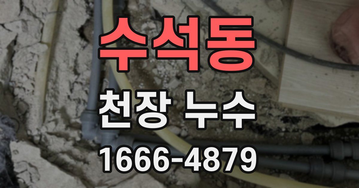 수석동 천장 누수