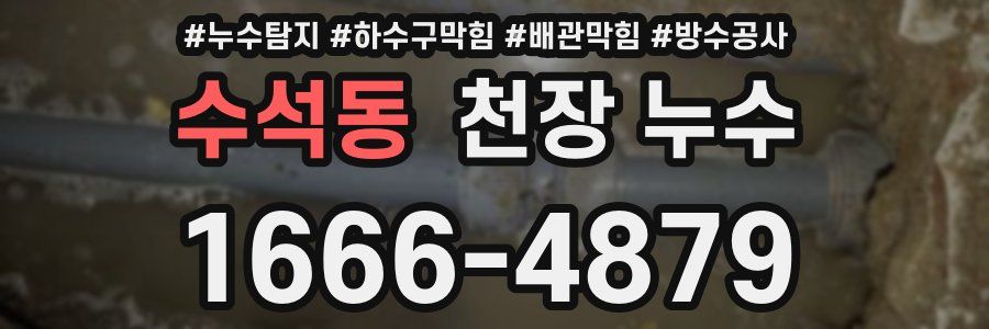 수석동 천장 누수