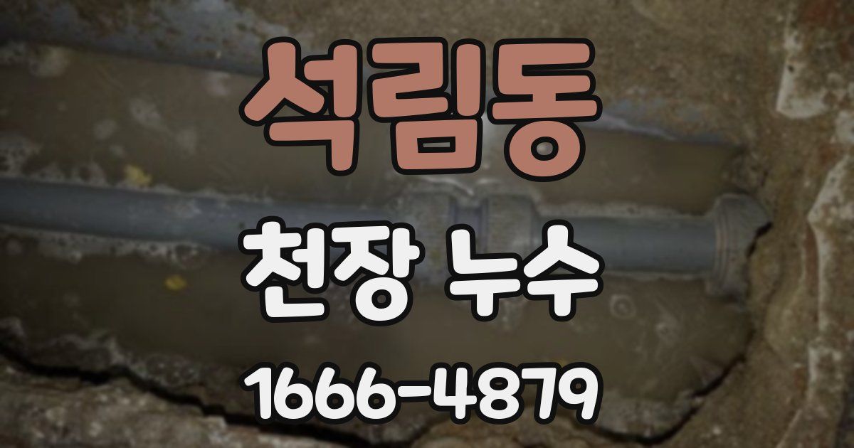 석림동 천장 누수